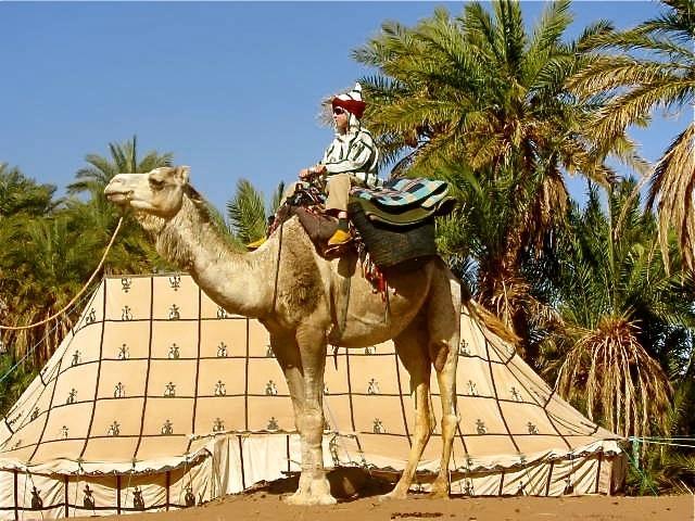 Hotel Dar Sidi Bounou M'Hamid Zewnętrze zdjęcie